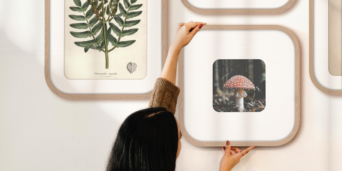 Modern Arc Matted Picture Frames with 7 Unique Sizes – MCS Frame